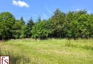 Stattlicher VIERKANTHOF mit 21 ha Grund