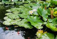 Sehr viel Platz im Haus und auch im traumhaften Garten