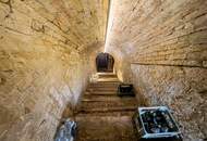 Typisches Weinviertler Haus mit viel Potential Nähe Gänserndorf