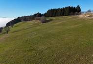 Landwirtschaftliche Fläche