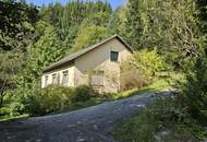 Bauernhof samt Auszugshaus (Sternchenbau) mit land- und forstwirtschaftl. Grund in idyllischer Alleinlage