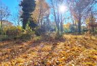 Seltene Chance im 13. Bezirk💎 1.070 m² Eckgrundstück für Villa oder Doppelhaus🏡