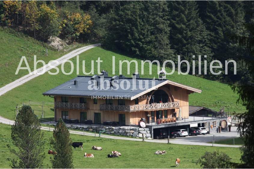 Haus Fassl in Hinterglemm: ideal zum Wohnen! Touristische Vermietung, Natur, Zentral und Pistennähe!, Haus-kauf, 3.300.000,€, 5753 Zell am See