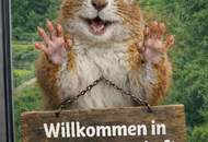 Kühle Waldluft im heißen Sommer am Balkon genießen 😊😊😊
