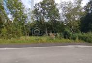 Mehrfamilienhaus mit Gewerbegrundstück