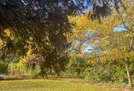 Traumhafte Jahrhundertwendevilla mit Garten und Pool
