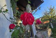 "Einfamilienhaus mit Potenzial und großem Garten – Theresienfeld "