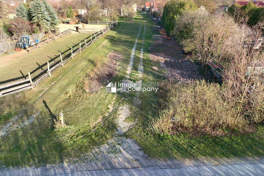 Großes Grundstück in Pischelsdorf zu verkaufen!, Grund und Boden-kauf, 215.000,€, 2434 Bruck an der Leitha