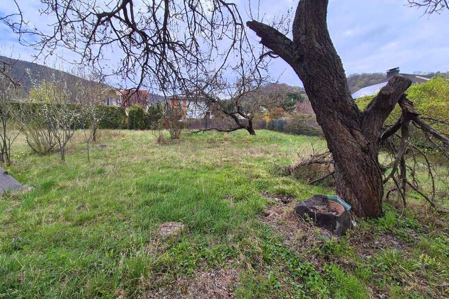 Attraktives Baugrundstück in Hainburg an der Donau, Grund und Boden-kauf, 199.000,€, 2410 Bruck an der Leitha