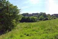 Kitzeck: Baugrundstück 1.320 m² / PRIVAT (auch 2 Häuser möglich) (Provisionsfrei)