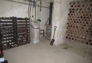 GROSSES BAUGRUNDSTÜCK MIT RENOVIERUNGSBEDÜRFTIGEN HAUS