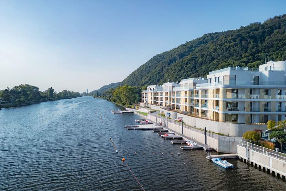 the-shoredrohne092415