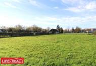 Gewerbegrund auf Baurecht in gewerblicher Hochfrequenzlage