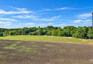 Licht. Raum. Lebensqualität. – Kompakt Wohnen | ZELLMANN IMMOBILIEN