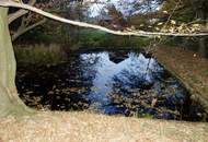 TRAUMHAFTES GRUNDSTÜCK MIT TEICH AM STEINRIEGL