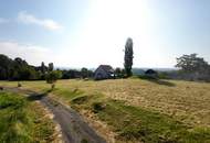 Wohnen wo andere Urlaub machen - Grundstücke am Graßnitzberg in ruhiger Lage zu verkaufen