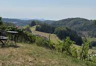 Der Inbegriff von Lebensqualität- top saniertes, massiv erbautes Kellerstöckl mit Lärchenholzverkleidung in traumhafter Aussichtslage nahe Riegersburg