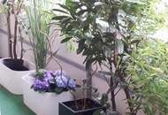 IDEAL eingeteilte 3 ZIMMER - großer LOGGIA-GARTEN