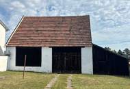 Einfamilienhaus mit geräumigen Scheune und viel Grünland!