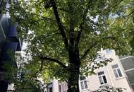 Ruhige Gartenfläche im grünen Innenhof – 29,4 m²