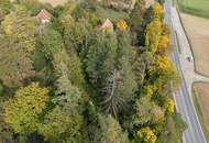 Viel Platz im Grünen: Haus mit Garage auf 8.580 m² Grundstück in Plankenberg