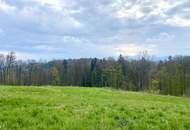 +++ FERNBLICK +++ großzügiges Grundstück mit Aussichtslage in Raaba