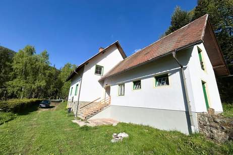 Einzigartiges Juwel für Naturliebhaber!, Haus-miete, 990,00,€, 8731 Murtal