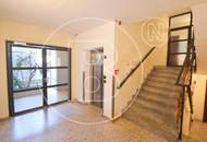 Renovierungsbedürftige 3-Zimmer-Loggia-Wohnung in guter Lage!