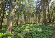 Landwirtschaftliche Fläche mit Waldgrundstück und Gebäude