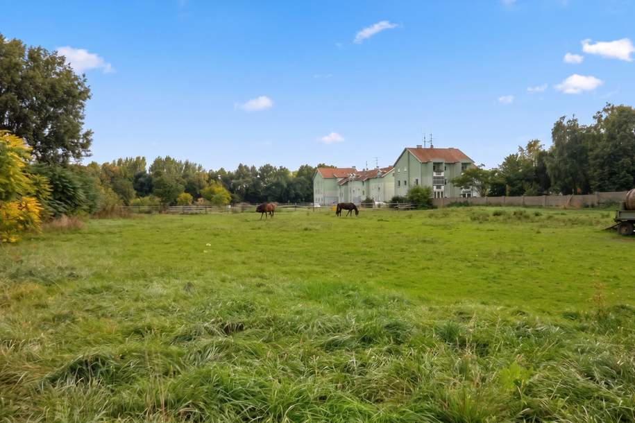 Großes Baugrundstück mit vielseitigem Bebauungspotential!, Grund und Boden-kauf, 1.250.000,€, 7122 Neusiedl am See
