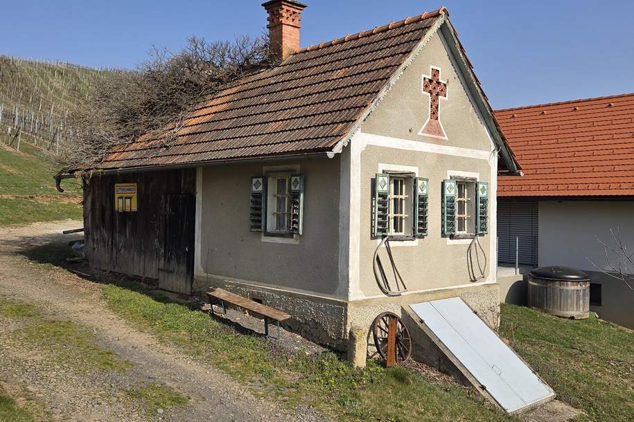 Uraltes, bestehendes Kellerstöckl mit fertiger Zu- und Umbaubewilligung samt Teil- Nutzungsänderung - Baustart kann sofort erfolgen, Haus-kauf, 88.000,€, 8493 Südoststeiermark