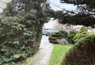 Neu sanierte Wohnung im Wiener Altbau // Newly renovated apartment in an old Viennese building //