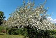 Einfamilienhaus in sonniger Lage mit herrlicher Aussicht in Edelschrott!