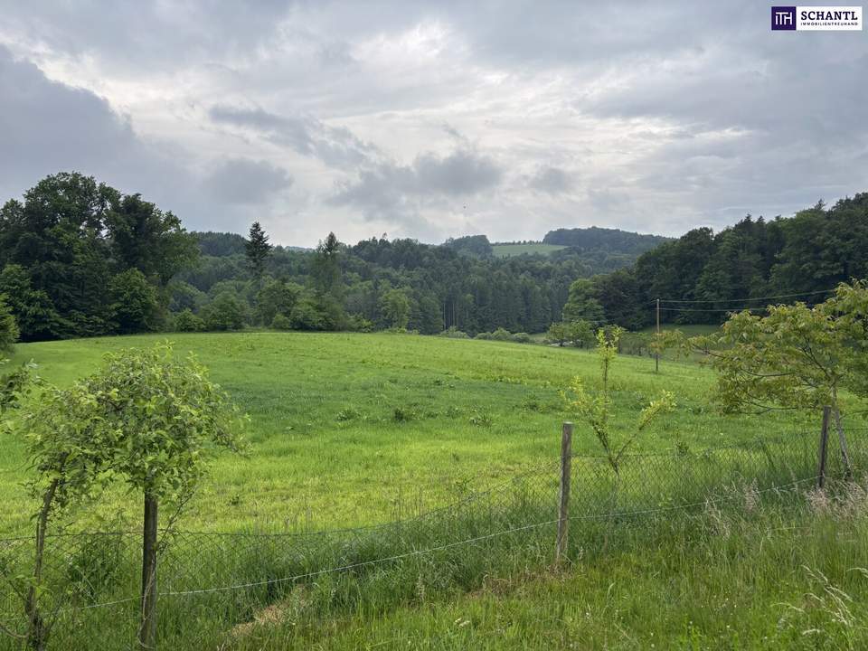 ++ SELTENE GELEGENHEIT ++ GENIAL für PFERDEHALTUNG ++ BAUERNHOF mit ca. 7 HA Landwirtschaftlicher Fläche und Wald ++ NEBENGEBÄUDE++ NÄHE GRAZ++