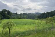 ++ SELTENE GELEGENHEIT ++ GENIAL für PFERDEHALTUNG ++ BAUERNHOF mit ca. 7 HA Landwirtschaftlicher Fläche und Wald ++ NEBENGEBÄUDE++ NÄHE GRAZ++