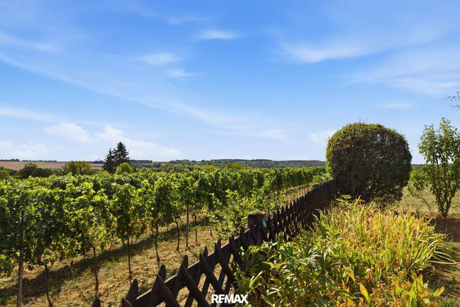 Absolute Traumlage in Mühlbach: Geschmackvoller Landhausstil, parkähnlicher Garten, Pool und einmaliger Fernblick!, Haus-kauf, 269.000,€, 3473 Hollabrunn