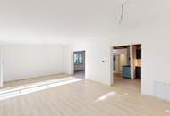 Moderner Bungalow in absoluter Ruhelage – Neulengbach