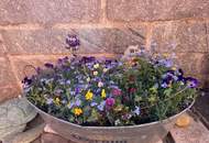 Zentral gelegenes Einfamilienhaus mit Garten und Garage in Schärding