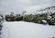 Doppelgrundstück in Ruhelage mit Knusperhaus