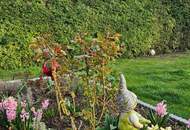 Komplett modernisierter Bungalow in ruhiger Sackgasse Kottingbrunn