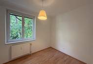 Erstbezug nach Teilsanierung, Terrassenwohnung im Grünen // First occupancy after part-renovation, Terrace Apartment in the greenery //
