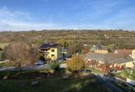 "Jahrhundertwende Stilhaus mit Wald"