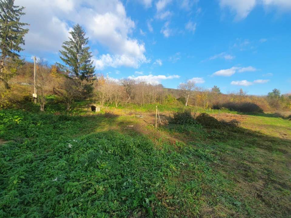 Kleinsitzendorf: Baugrund voller Möglichkeiten – Traumplatz, Traumidee, Traum wird wahr!