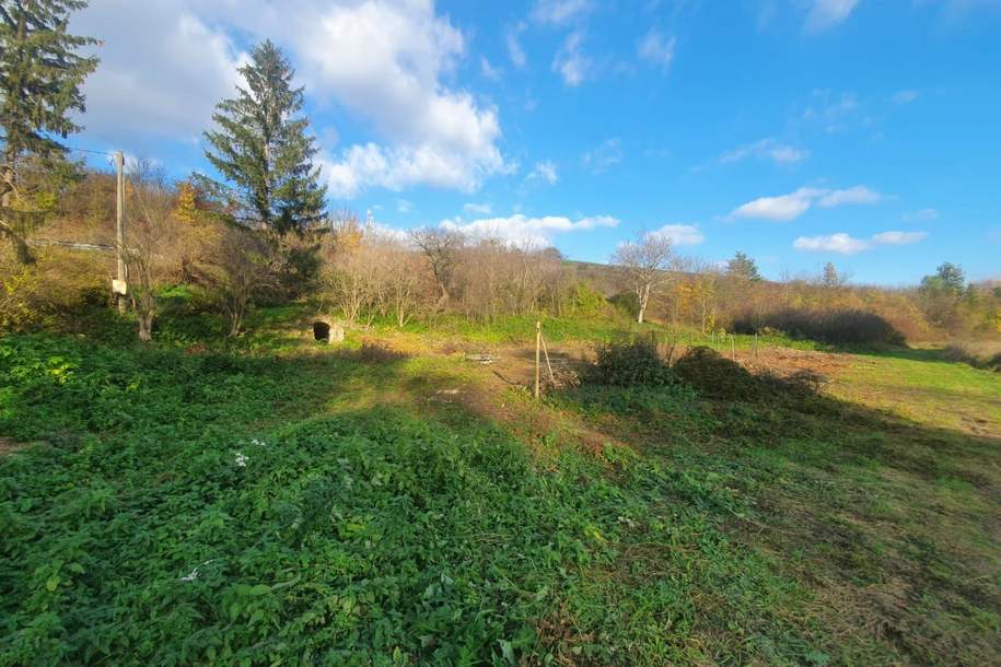 Kleinsitzendorf: Baugrund voller Möglichkeiten – Traumplatz, Traumidee, Traum wird wahr!, Grund und Boden-kauf, 110.000,€, 2116 Mistelbach