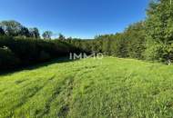 Erholung pur im eigenen Wald mit Bach und Wiesen nähe Amstetten