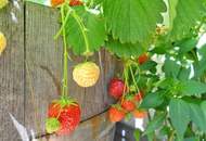3-Zimmer-Wohntraum mit Loggia &amp; Panorama-Gemeinschaftsdachterrasse