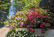 Wunderschöne Villa mit Pool und weitläufigem Grundstück, Nähe Pressbaum