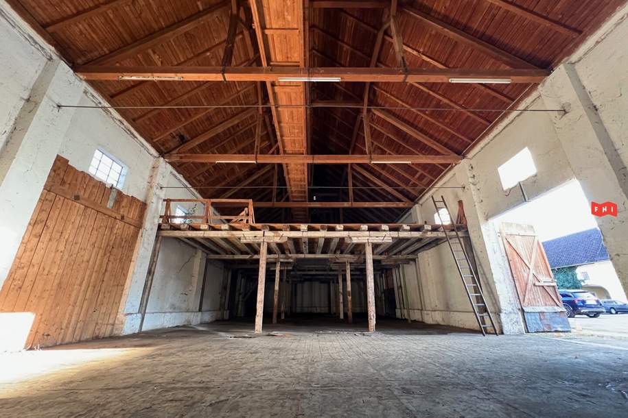 Geräumige Lagerhalle (ehem. Getreidesilo) nähe Gewerbepark Franzosenhausweg (OÖ / Linz), Gewerbeobjekt-miete, 1.900,00,€, 4050 Linz-Land