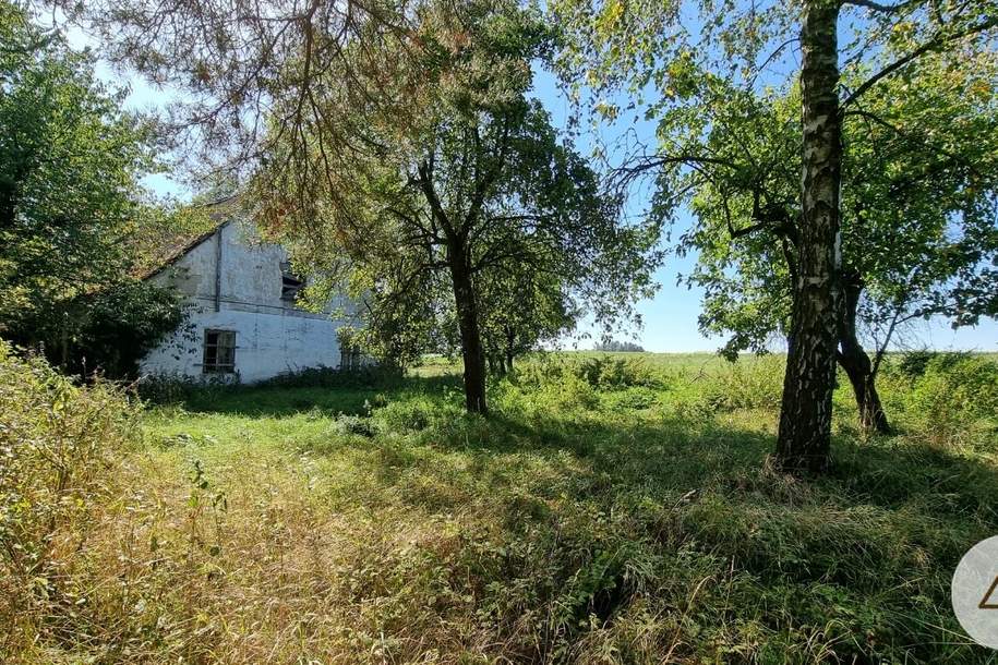 Sonnenbeschienene Alleinlage, knapp 3 Hektar mit stark sanierungsbedürftigem Forsthaus, Haus-kauf, 185.000,€, 3842 Waidhofen an der Thaya