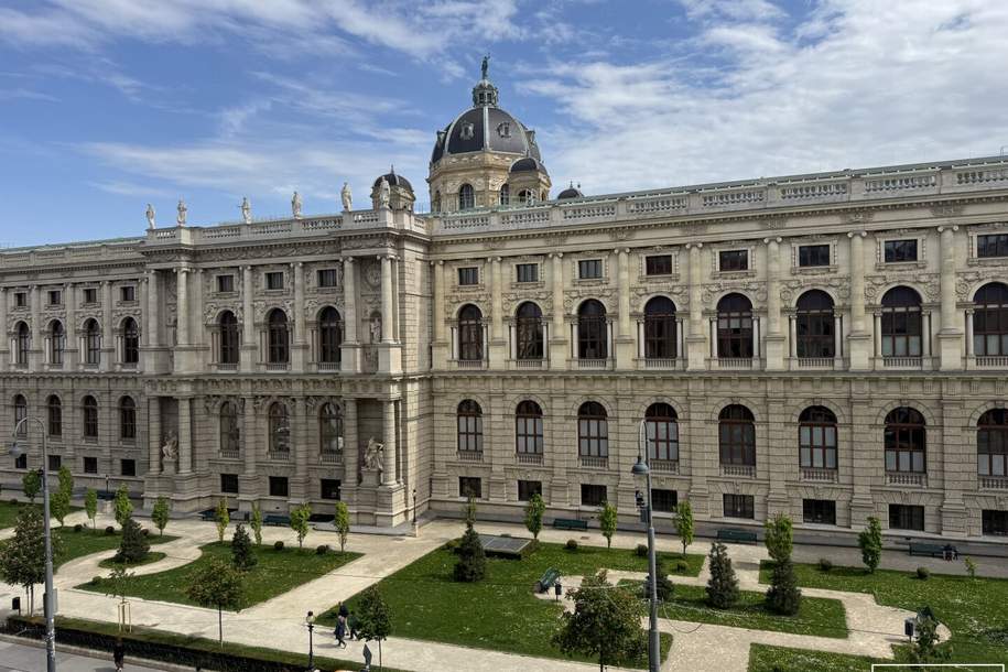 Exklusiver Altbaujuwel in Wiener Toplage | ZELLMANN IMMOBILIEN, Wohnung-miete, 4.800,00,€, 1010 Wien 1., Innere Stadt